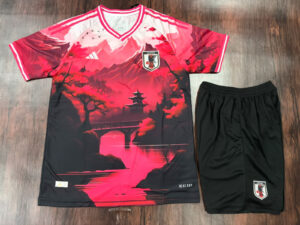 Japan 24_25 kit_