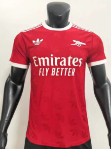 Arsenal special edition jersey 24_25